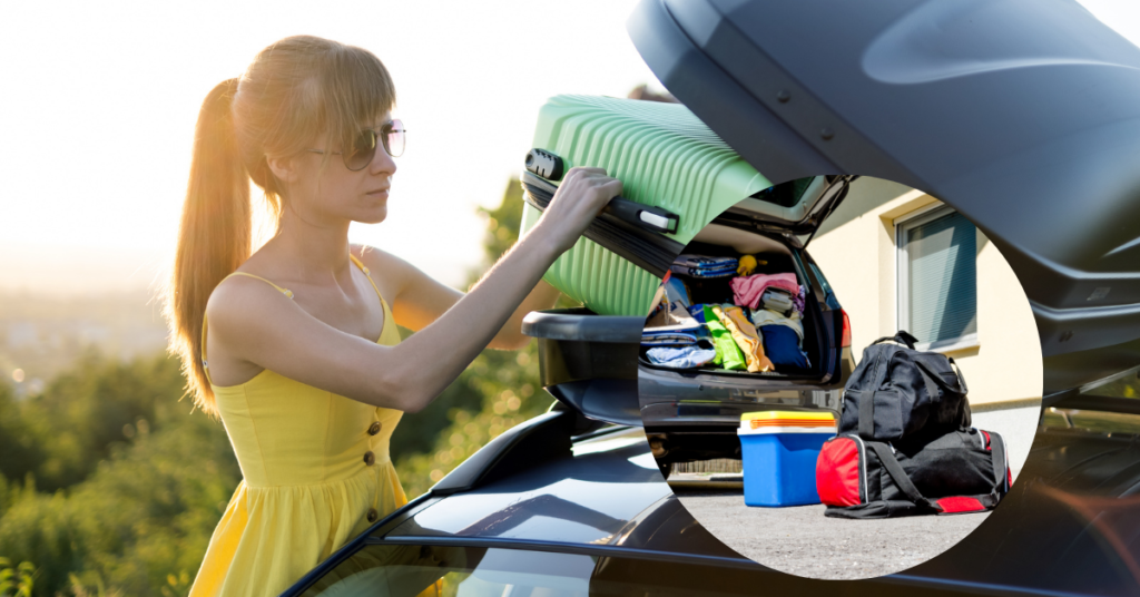 car luggage carrier